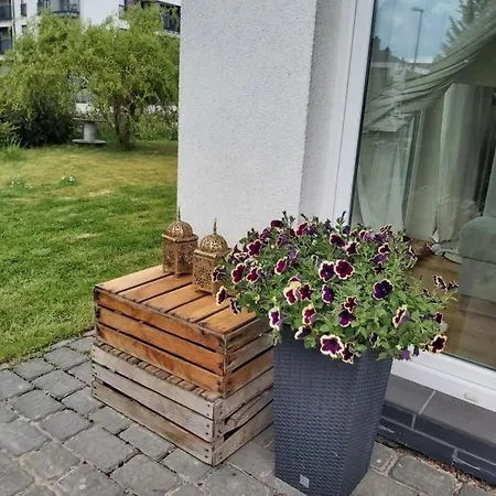Maciejkowa Apartment *