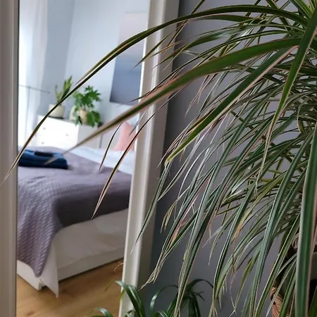 Maciejkowa Lägenhet *