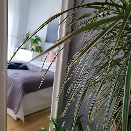 Maciejkowa Apartment *