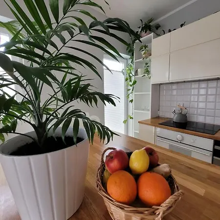 Apartment Maciejkowa