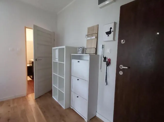 Maciejkowa * Stettin