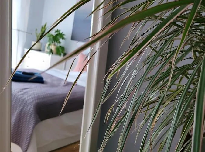 Maciejkowa Lejlighed *