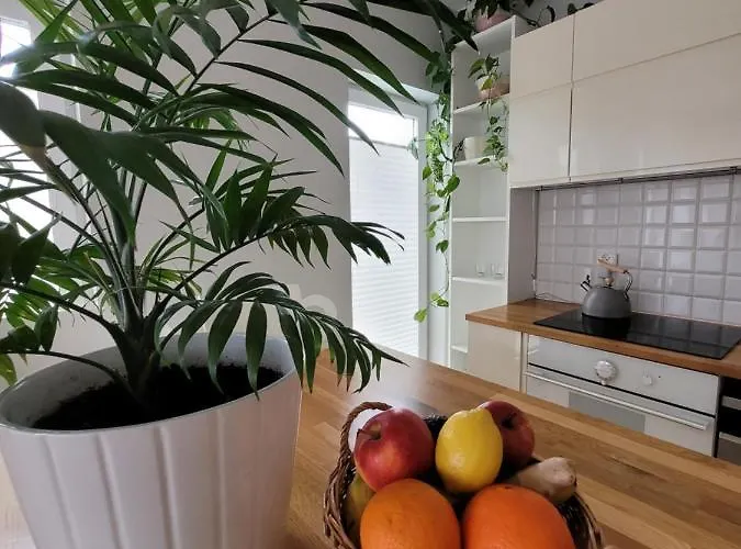 Lejlighed Maciejkowa